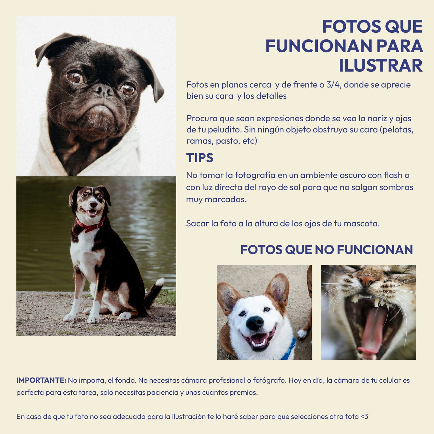 Cuadro con la ilustración de tu Peludito (Enmarcado)