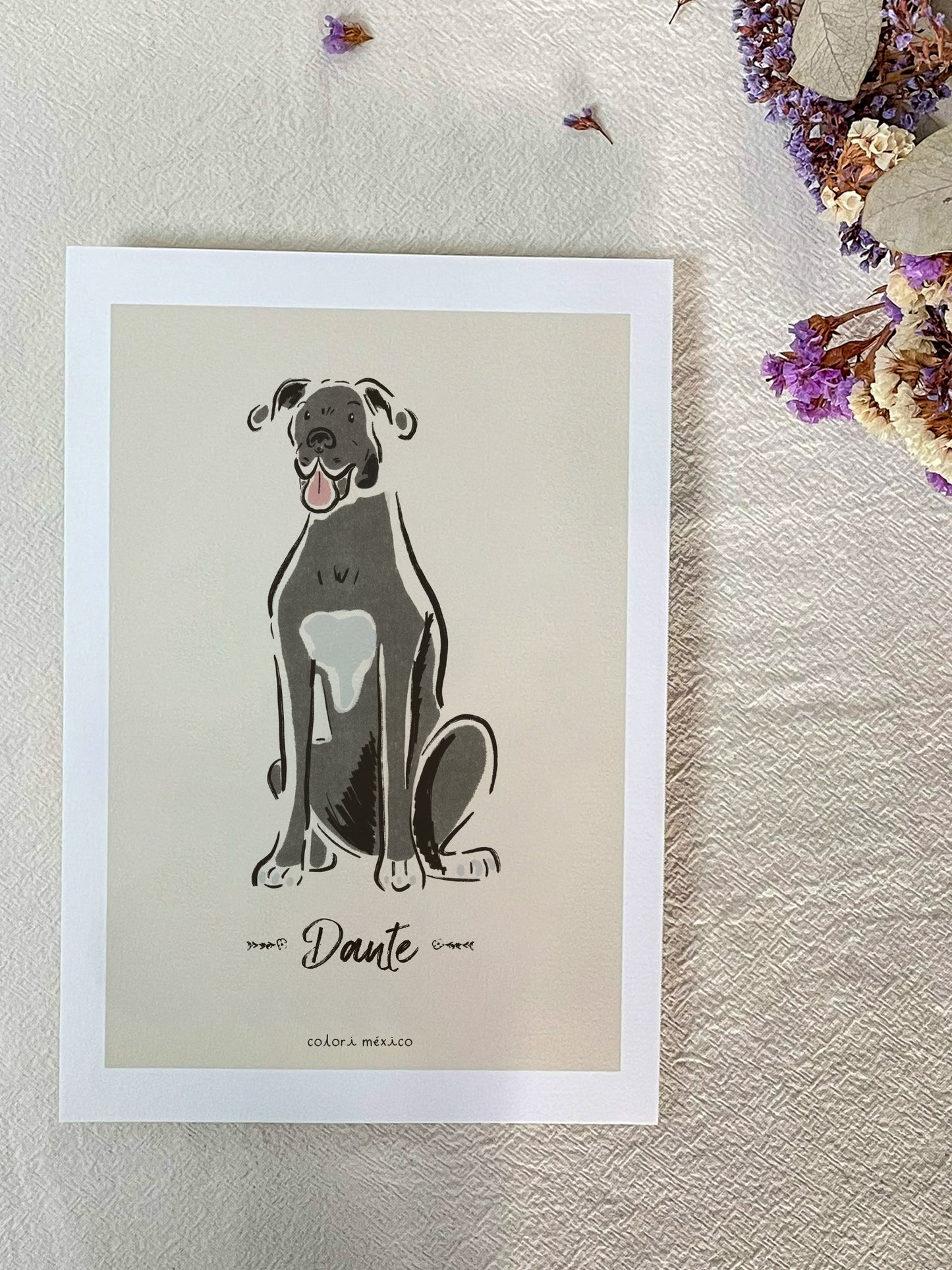 Cuadro con la ilustración de tu Peludito (Enmarcado)