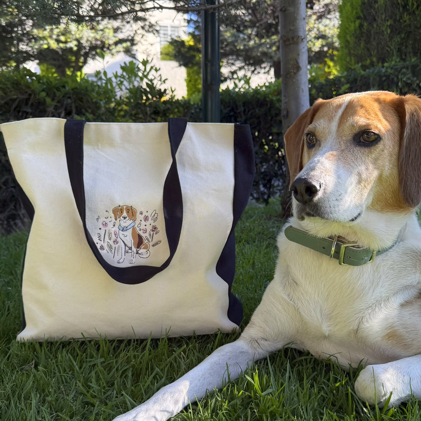 Kit Bordado Premium: Sudadera + Tote bag + Cuadro Enmarcado + Gorra + Cosmetiquera