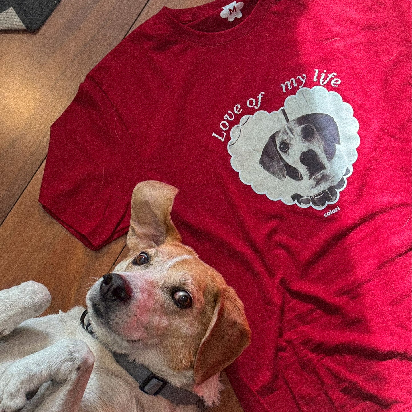 Playera personalizada "Love of my life"