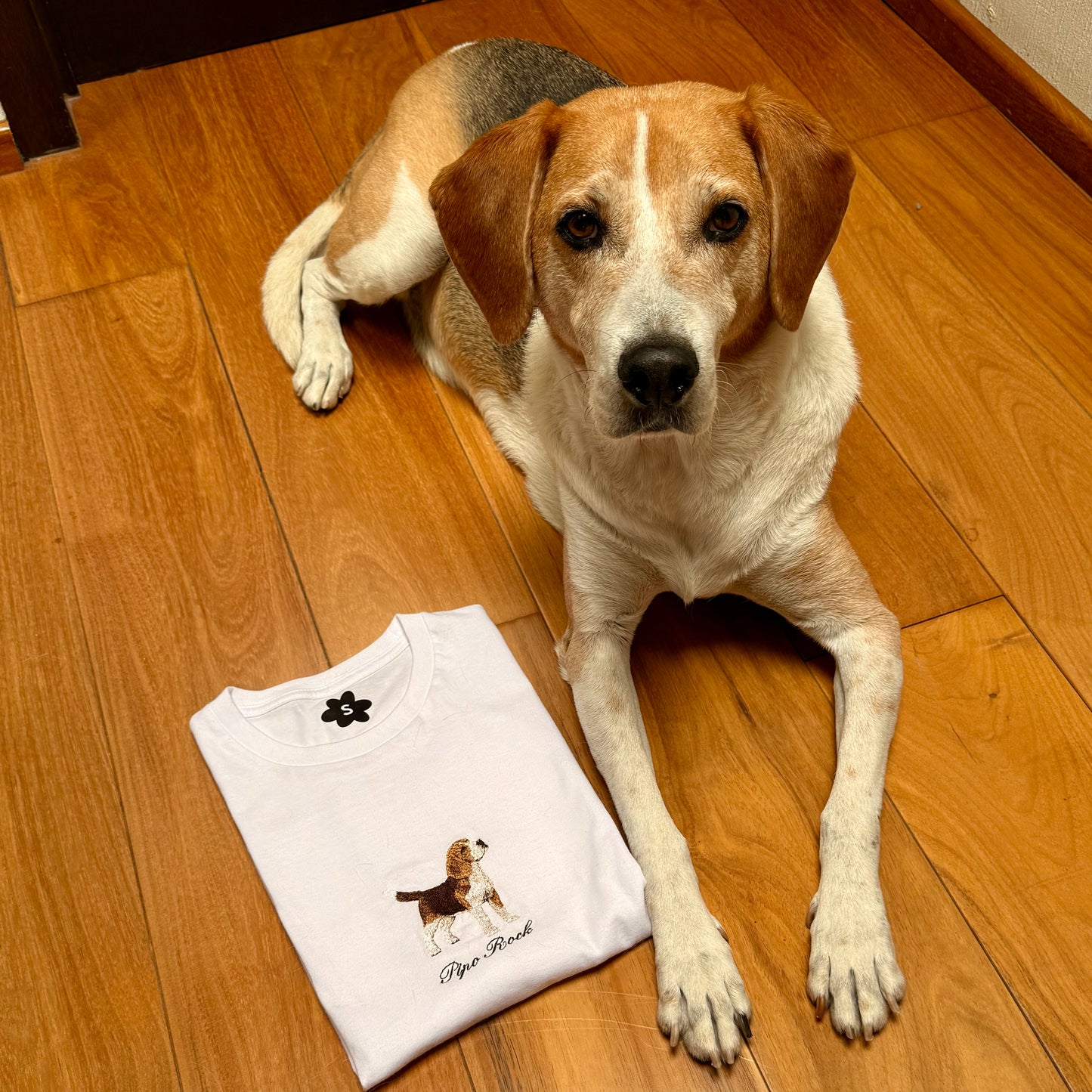 Playera bordada personalizada con tu mascota