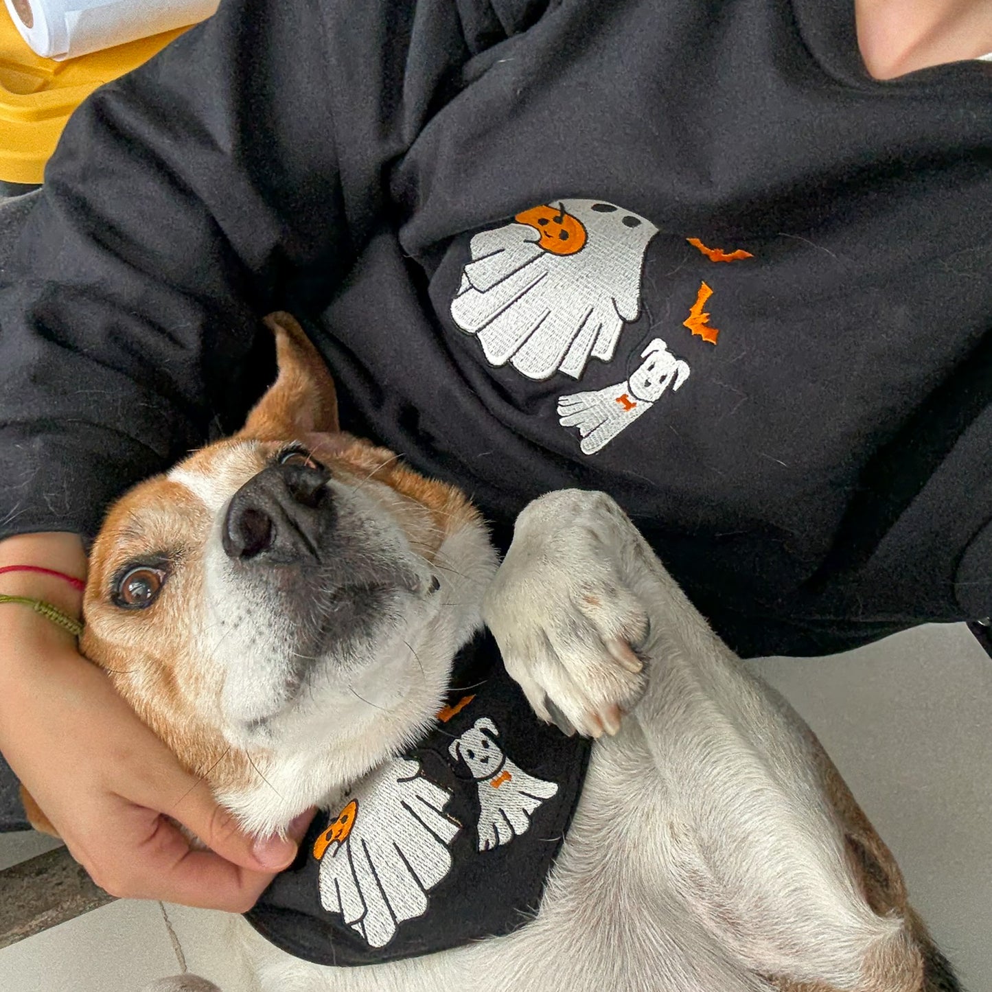 Matching Outfit (Spooky Season): Sudadera + Bandana