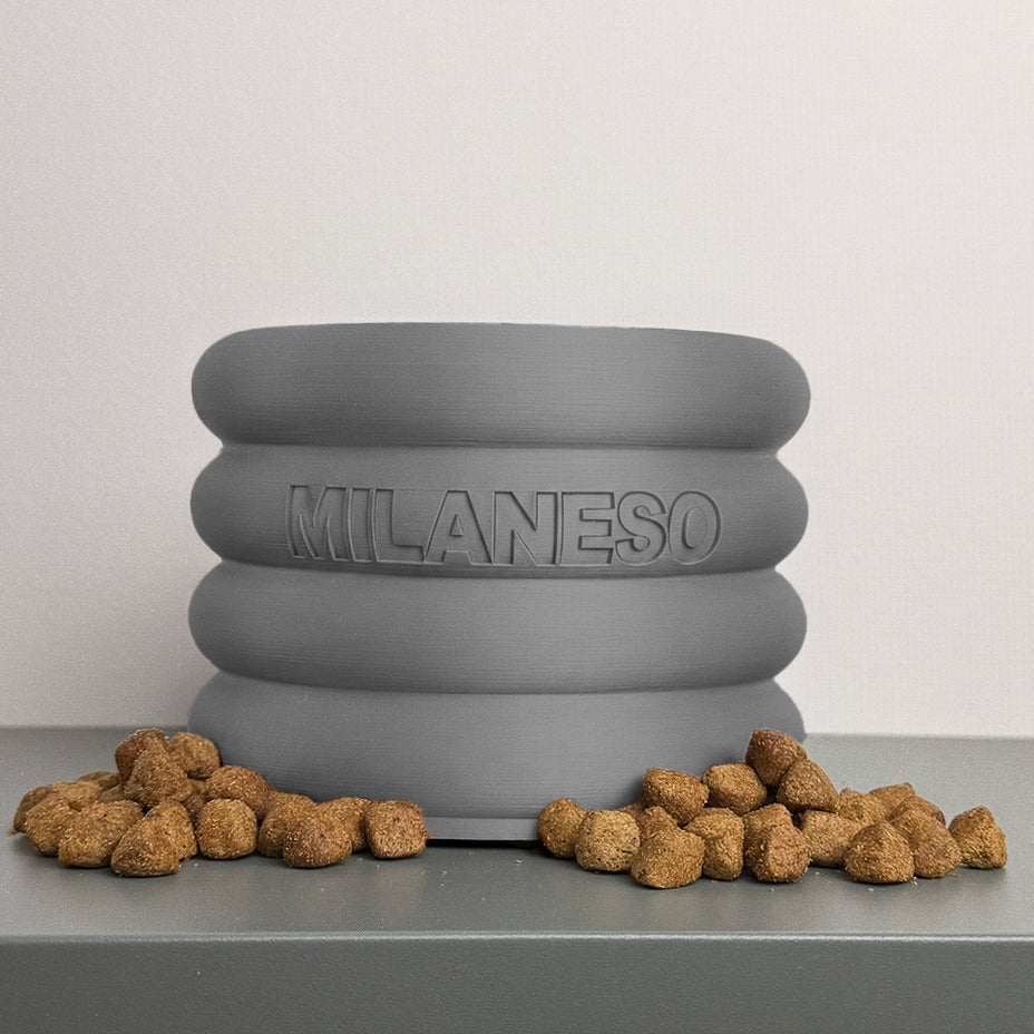 Bowl Elevado Ergonómico para Perros (Personalizado)