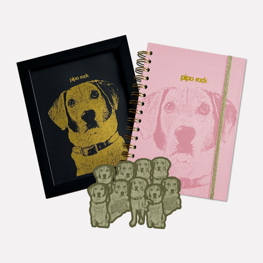 Kit personalizado: Libreta + Stickers + Print