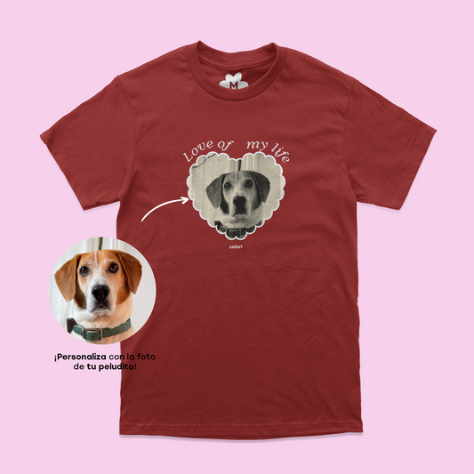 Playera personalizada "Love of my life"
