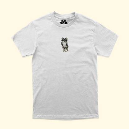 perrito 10