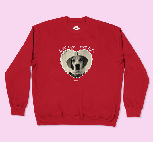 Sudadera Personalizada "Love of my life"